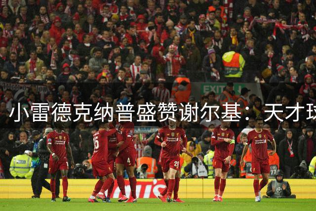 小雷德克纳普盛赞谢尔基：天才球员展现非凡技艺